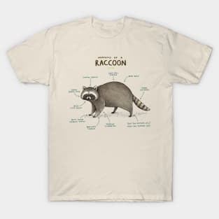 Anatomy of a Raccoon T-Shirt